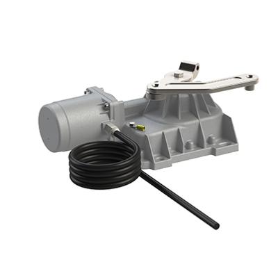 Moteur enterré 230V R21 avec cable de 10m